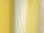English Tulle