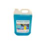 Window Cleaner 5 Litre