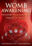 Womb Awakening - Initiatory Wisdom From The Creatrix Of All Life Paperback