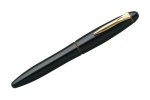 Platinum Izumo Fountain Pen – Biwatame