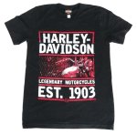 H-d Goldrand Dealer T Shirt -HDR40291498