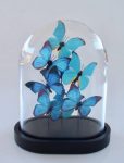 Glass Dome With Butterflies – 27X21X15CM