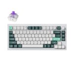 Q1H-P1 Qmk Wireless Custom Keyboard - White