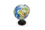 Globe Geographical Globe