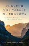 Through The Valley Of Shadows - Living Wills Intensive Care And Making Medicine Human Hardcover