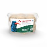 10 X Worms & Bugs Suet Snack Ball Tub