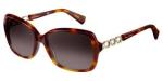 Pierre Cardin PC8421 S