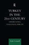 Turkey In The 21st Century Paperback