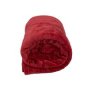 Coral Fleece Blanket Red