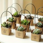 40PCS 'let Love Grow' MINI Succulent Gift Set - Perfect For Teacher Appreciation Thanksgiving & More - Creative Kraft Paper Boxe