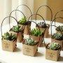 40PCS 'let Love Grow' MINI Succulent Gift Set - Perfect For Teacher Appreciation Thanksgiving & More - Creative Kraft Paper Boxes With Handles For