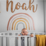 Kikki & Frankie Wall Decal Packs Rusty Dusty Large Rainbow