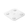 XiaoMi Body Composition Scale S400