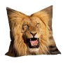 Male Lion Luxury Scatter By Fanie Heymans Large