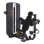 Benchmark Bicep Curl Foundation Line