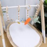 Baby Gym Themed Dangles Peter Rabbit