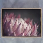 King On Gray 3 Art Print - A0 Framed Canvas With Natural Wood Frame