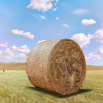 Ribowri 6 6FT Heavy Duty Slow Feeding Horse Hay Net - 1.75-INCH Knotless Design Saves 60% Hay 800 Lbs Weatherproof Round Bale Fe