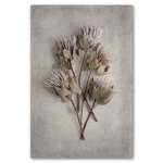 Everlasting 1 Art Print - A4 No Frame Print Only