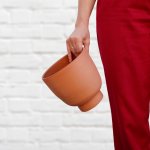 Shing Plinth Planter - Terracotta - 16CM