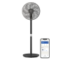 Philips Pedestal Fan 2000 Series - Black
