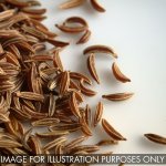 Caraway – Whole