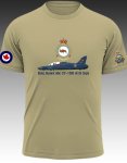 Bae Hawk Mk CT-155 419 Sqn
