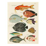 Ocean 14 Art Print