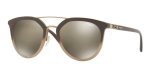 Porsche P8930D Vision Drive Polarized