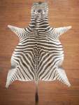 Aa Grade Zebra Hide 065 L
