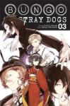 Bungo Stray Dogs Vol. 3 Paperback
