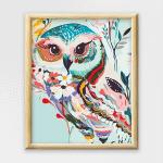 Adult Paint By Numbers With Frame - Embellished Owl