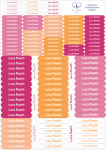 Strip School Labels Bright Tones 1