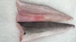 Fresh Hake Fillets 1KG - R200 KG