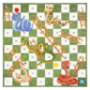 Snakes & Ladders Board Game