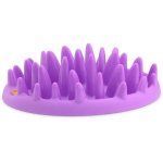 Pet Slow Feeder - Purple