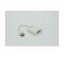 GIZZU HDMI To Vga With Audio Adapter White