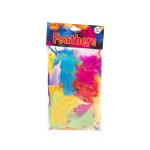 50PC 6CM Feathers