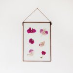 Velt Botanical Frame - Bougainvillea - 14.8CM X 21CM - A5 Rectangle
