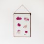 Velt Botanical Frame - Bougainvillea - 14.8CM X 21CM - A5 Rectangle