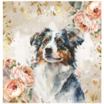 FSC2384 Printed Blanket Assorted