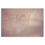 Blush Dreams 8 Art Print - A3 No Frame Print Only