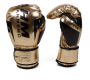 Fighting Boxing Gloves For Teenagers Pro Style Training Gloves 12 Oz