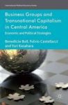 Business Groups And Transnational Capitalism In Central America: Economic And Political Strategies International Political Eco