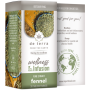 Fennel Tea