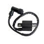 Motorcycle Ignition Coil For 125CC 150CC 200CC High Pressure Coil Atv Quad Dirt Pit Bike