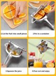Single Manual Press Fruit Juicer