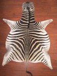 A Grade Zebra Hide 038 L