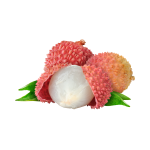 Sweet Lychee Concentrate - 100ML
