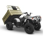 Big Boy Monster Utility Atv 250